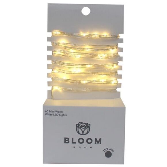 Bloom Room 60 ct LED Mini Silver Wire with Warm White String Lights - Picture 1 of 5